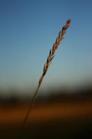 Bifogad bild: edgeIMG_3783.jpg